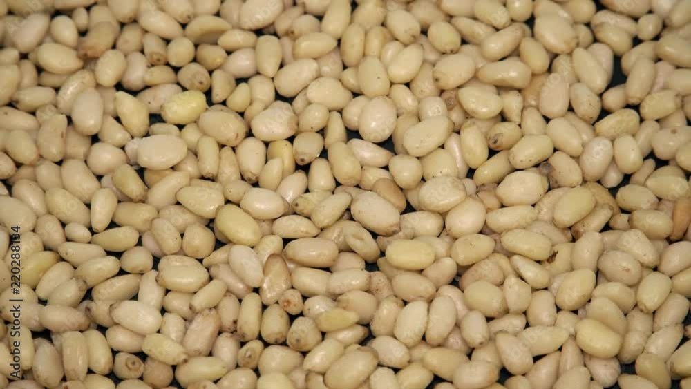 Peeled Raw Pine Nuts Rotating Peeled Raw Pine Nuts Rotating