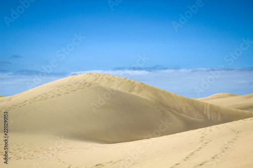 Sand  Sandw  ste  D  nen  Wanderd  nen  W  ste 