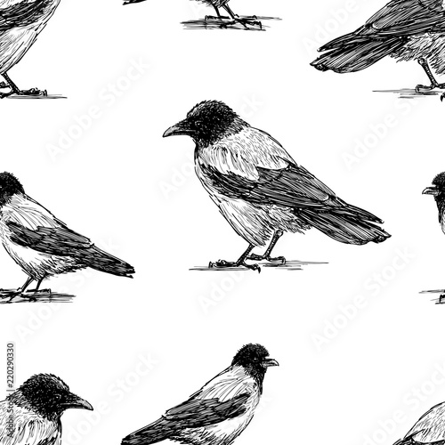 Seamless background of crows sketches