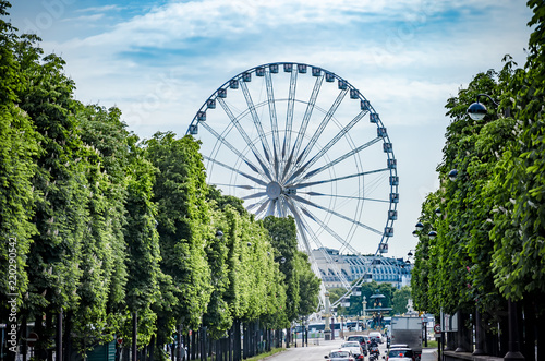 The ferris wheel on Concorde square and traffic on street in Paris  France