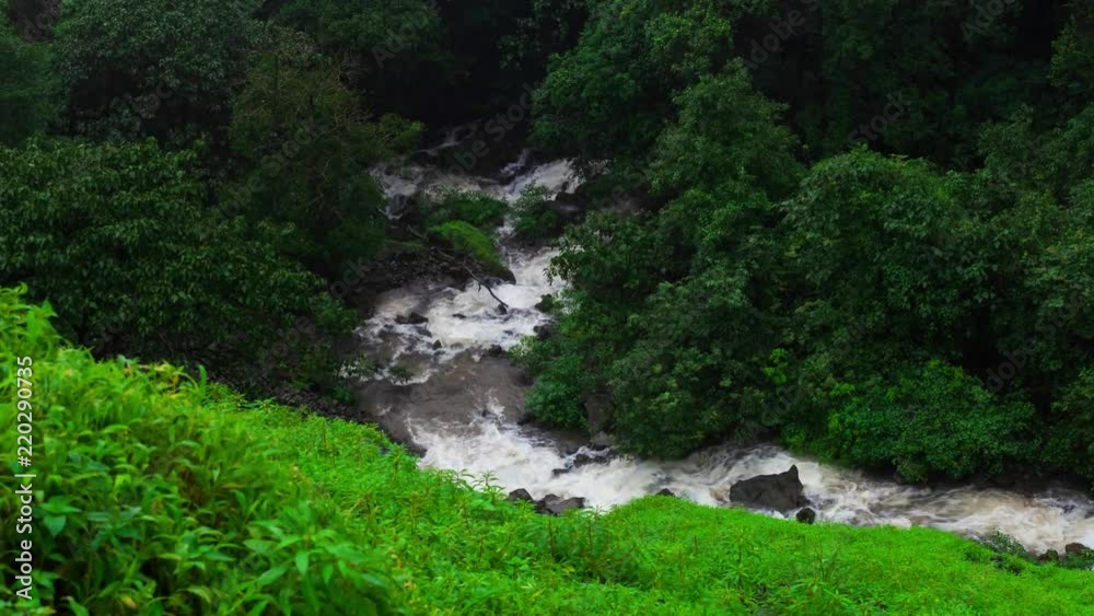 A beautiful time lapse of downstream, windy, rainy landcsape. Shades of green in nature. A beautiful time lapse of downstream, windy, rainy landcsape. Shades of green in nature.