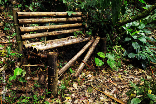 Fototapeta Naklejka Na Ścianę i Meble -  Old broken bench on a jungle path in Cordiliera Central, Colombia, South America