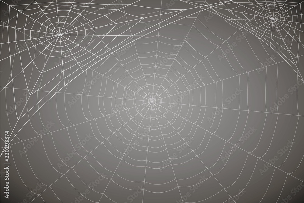 concentric white web on a gray background