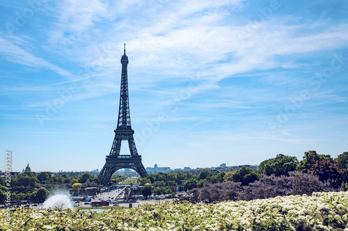 Eiffel Tower and flower garden in spring in Paris  France