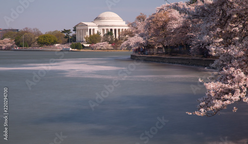 Washington DC Monuments Cherry Blossoms