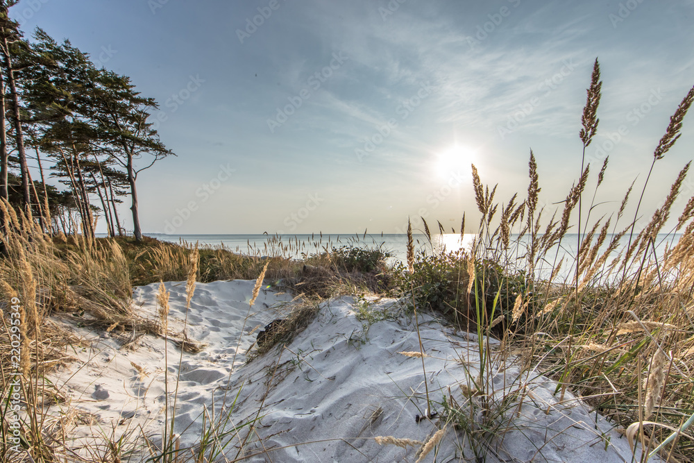 Wunschmotiv: ostseestrand #220295349