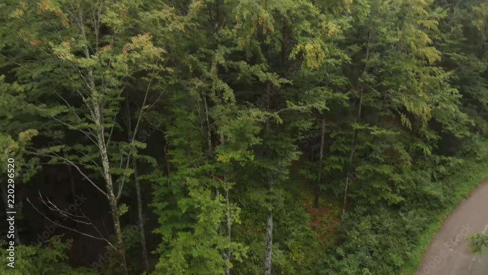 Aerial view of mountain road in the fog. First signs of autumn, yellow ends on leaves Aerial view of mountain road in the fog. First signs of autumn, yellow ends on leaves