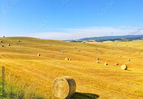 campo di grano e rotoballe in toscana photo