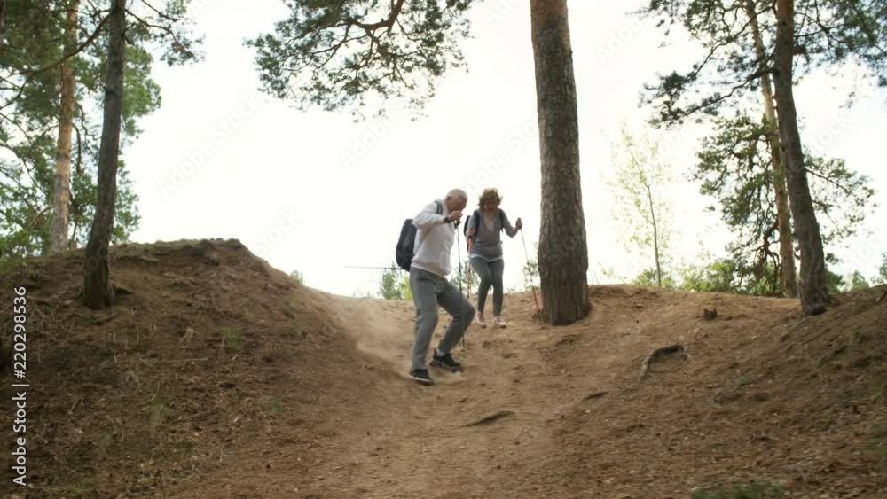 PAN of elderly man and woman wearing backpacks using trekking poles and hiking downhill in forest PAN of elderly man and woman wearing backpacks using trekking poles and hiking downhill in forest