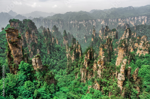 Quadro su tela Tianzi Mountain column karst at Wulingyuan Scenic Area, Zhangjiajie National For