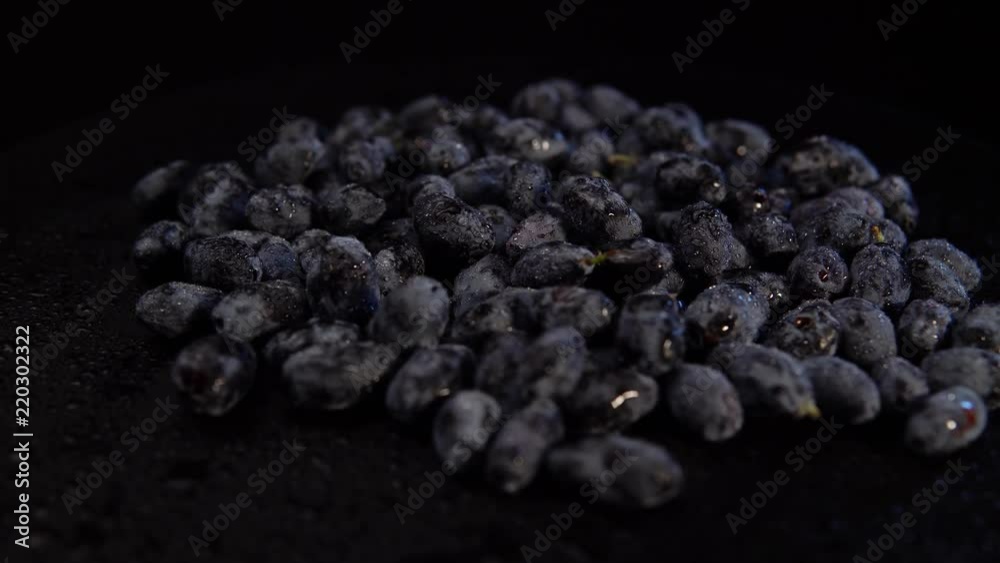 Dark ripe honeysuckle berries rotate counter-clockwise against a black background, close-up. Dark ripe honeysuckle berries rotate counter-clockwise against a black background, close-up.
