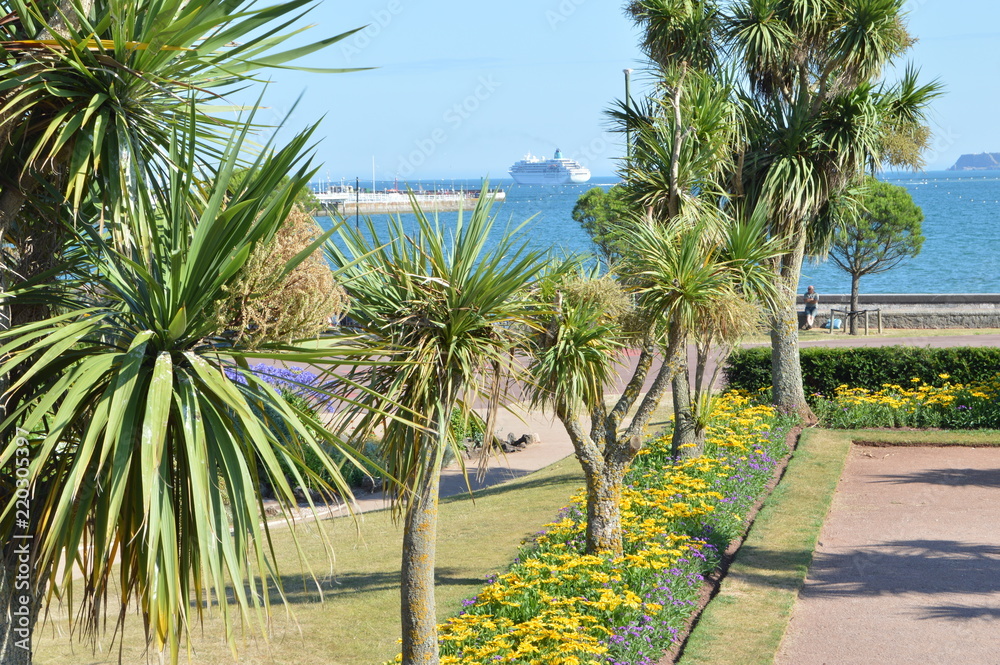 Gardens of palms and other exotic trees, Torquay Harbour, Devon, England Gardens of palms and other exotic trees, Torquay Harbour, Devon, England