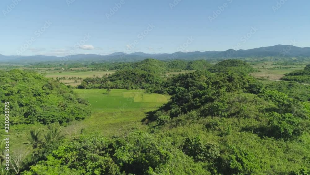 Aerial view of rice terrace, agricultural land of farmers. Tropical landscape with farmlands on Luzon, Philippines. Rice fields against the blue sky. Aerial view of rice terrace, agricultural land of farmers. Tropical landscape with farmlands on Luzon, Philippines. Rice fields against the blue sky.