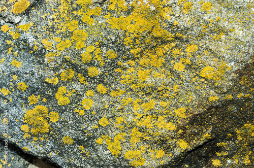 stone texture