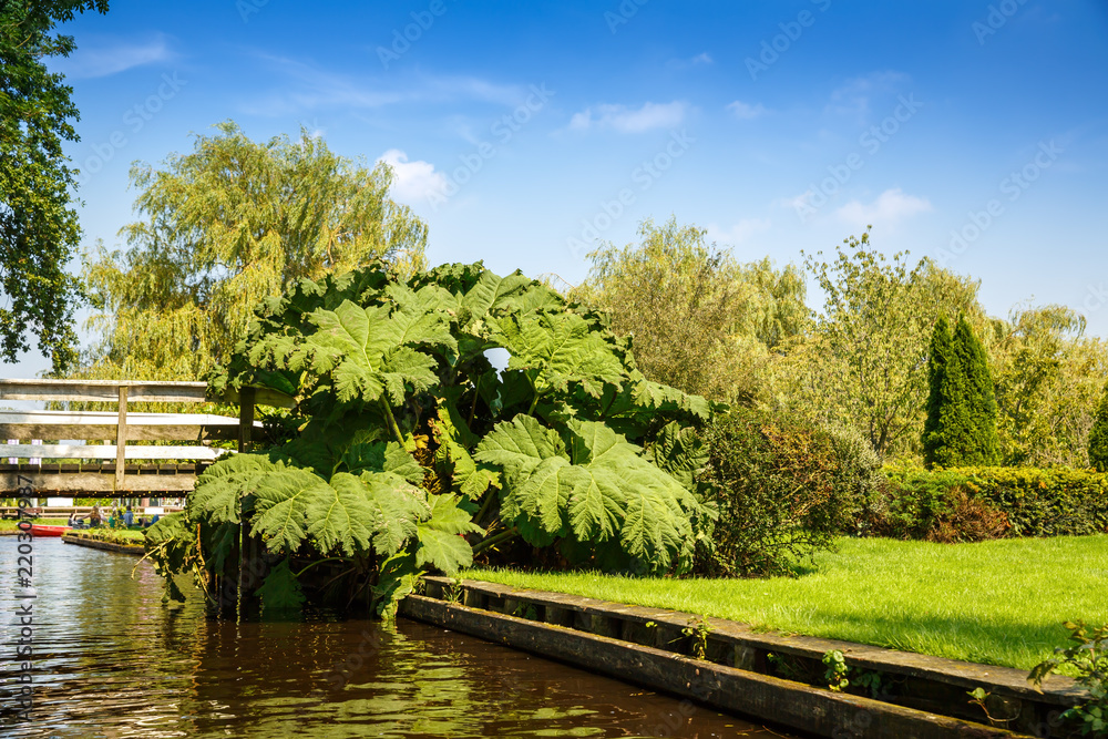 Giethoorn in Netherlands