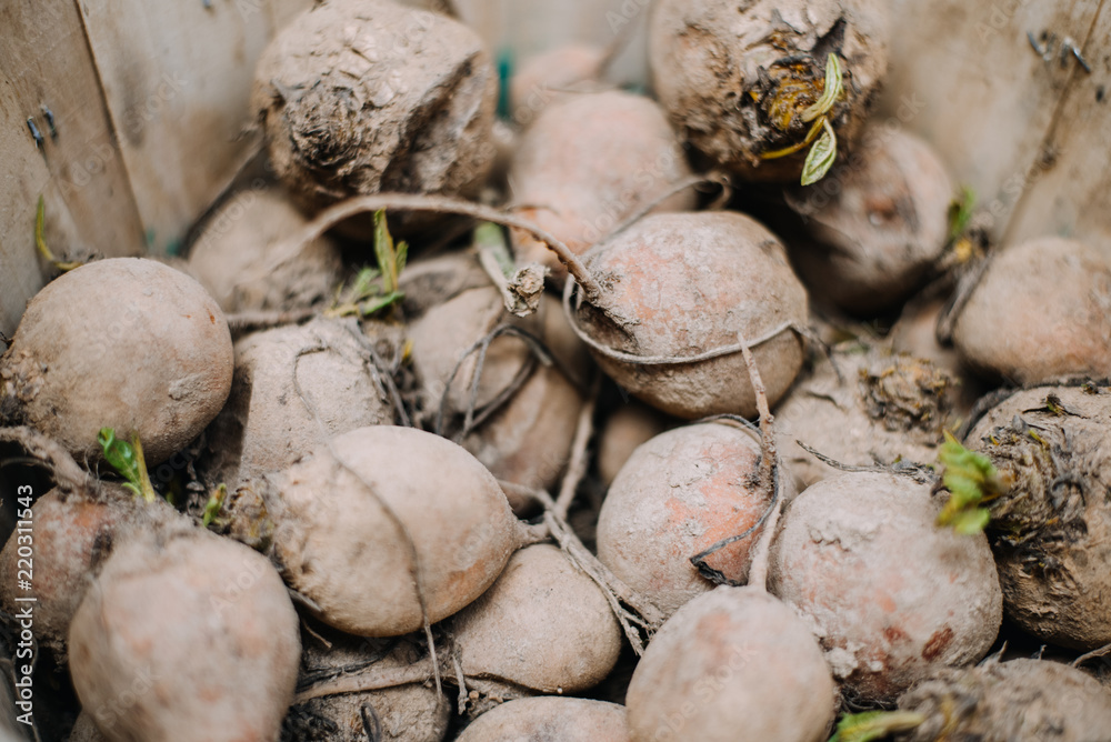 Farm fresh peaches, organic healthy food