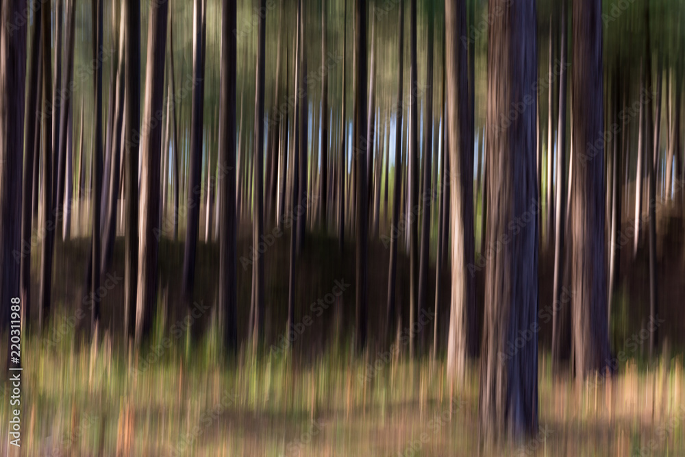 Trees Camera Movement ICM Trees Camera Movement ICM