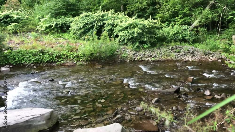 Wilderness Water Creek with Stones Wilderness Water Creek with Stones