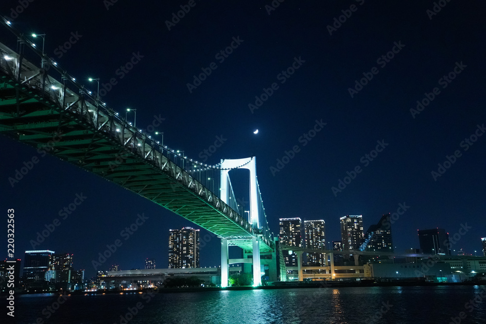 Naklejka premium 東京夜景・クルーズ