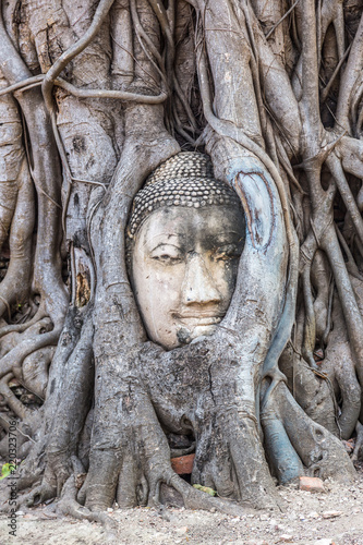 Ayutthaya Head of Buddha statue © Sergii Figurnyi
