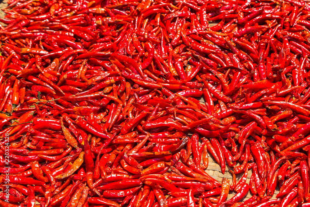 Fototapeta premium Red chili peppers