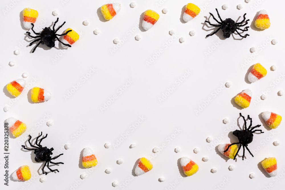 Halloween spiders overhead view on a solid color Halloween spiders overhead view on a solid color