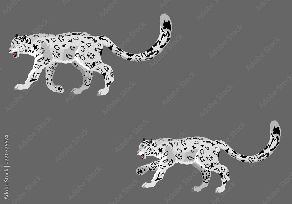 Fototapeta premium Ilustracja wektorowa dwóch lampartów śnieżnych