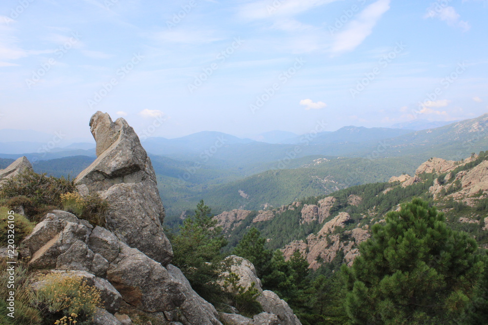 Mountain Landscape Tree Stone Wonder Corsica Bavella Trail Sculpture