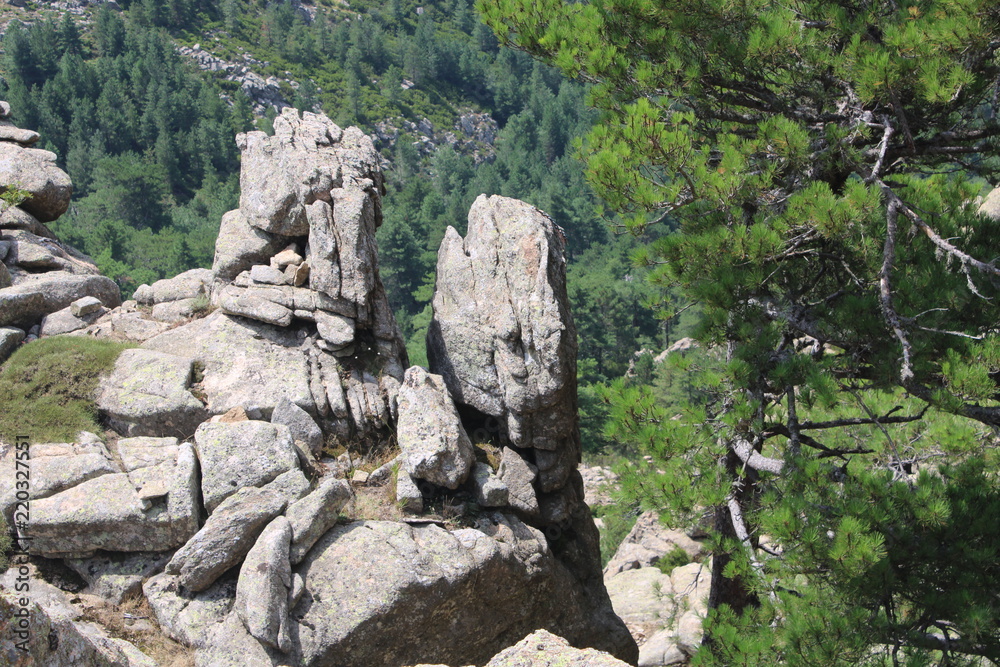 Mountain Landscape Tree Stone Wonder Corsica Bavella Trail Sculpture