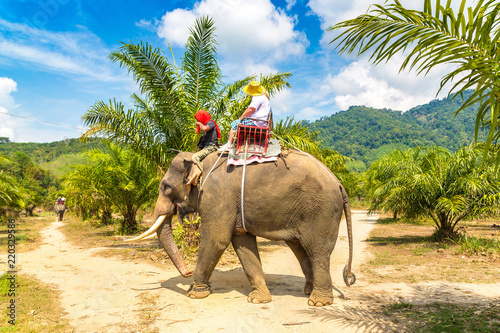 Canvas Print Tourists riding elephant in Thailand