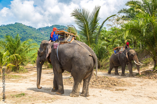 Photography Tourists riding elephant in Thailand