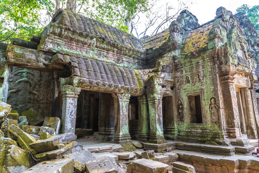 Ta Prohm temple in Angkor Wat