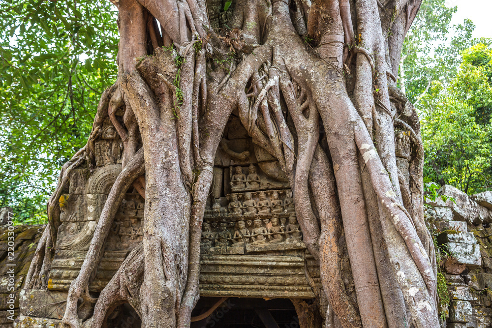 Ta Som temple in Angkor Wat