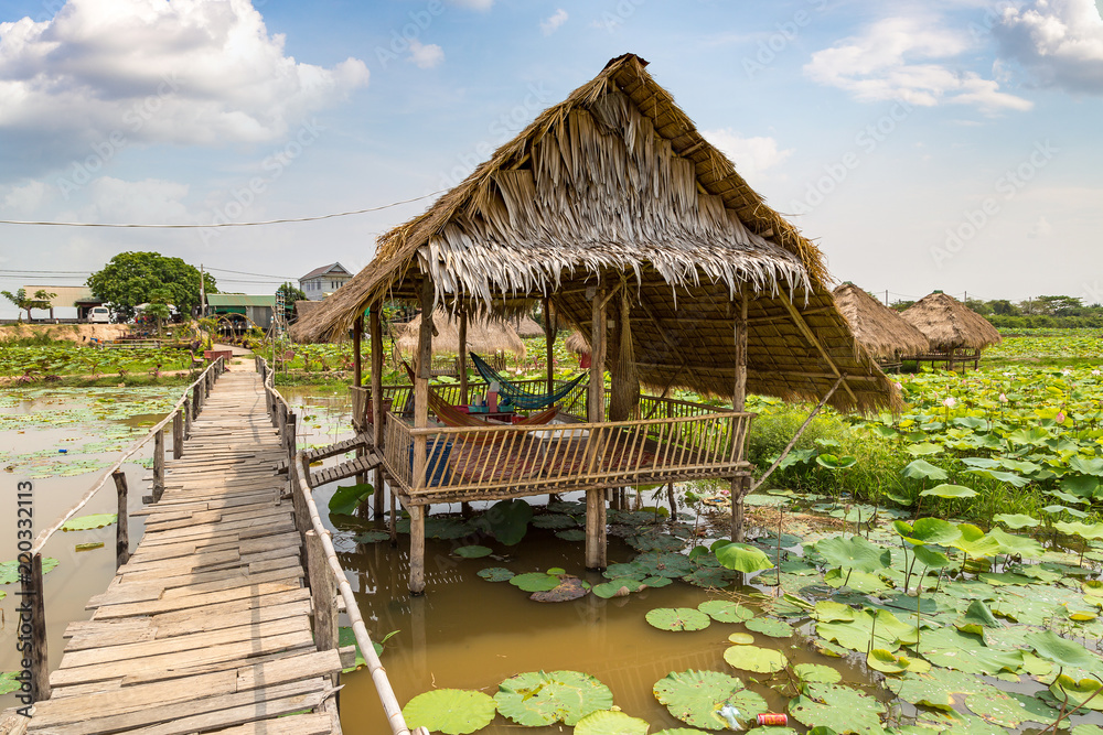 Lotus farm in Cambodia