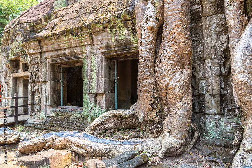 Fototapeta premium Ta Prohm temple in Angkor Wat