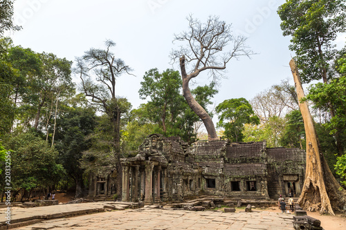 Ta Prohm temple in Angkor Wat