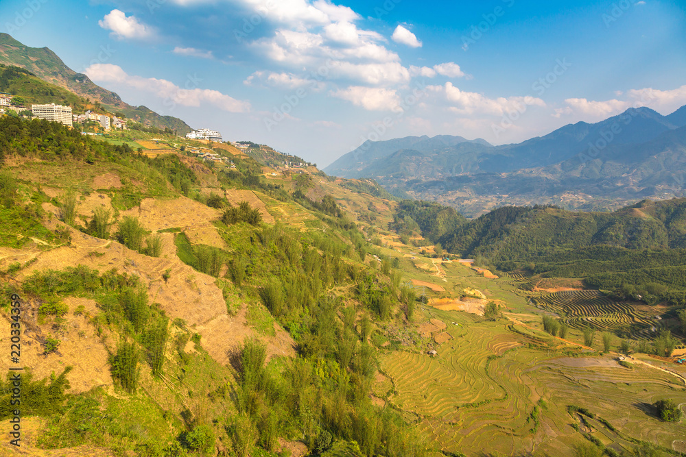 Terraced rice field in Sapa Terraced rice field in Sapa