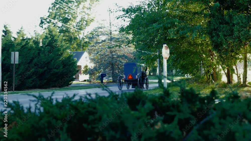Amish Horse and Buggy in late Afternoon