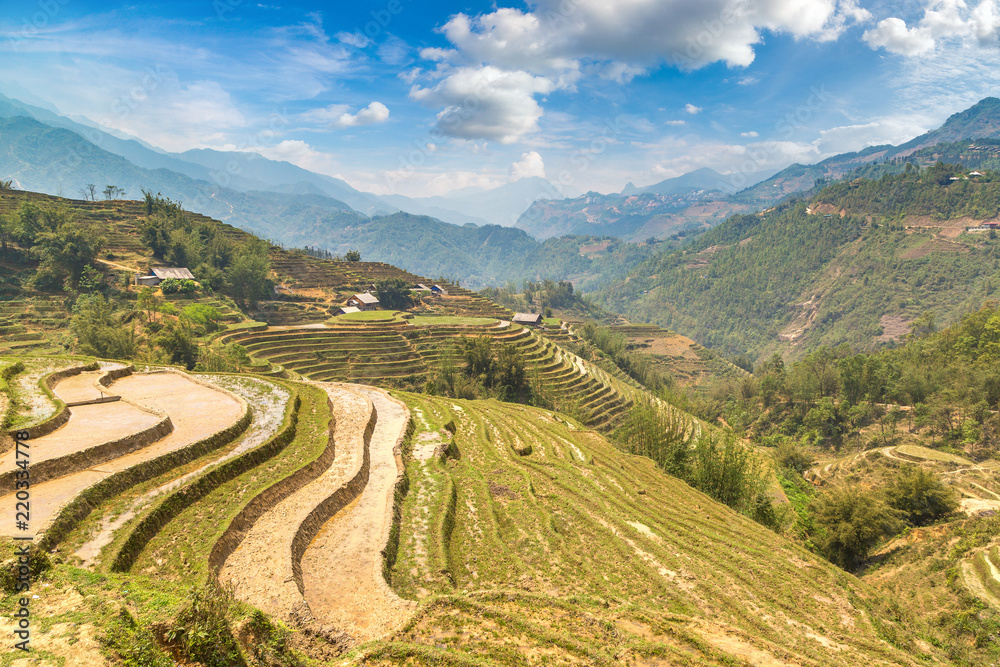 Terraced rice field in Sapa Terraced rice field in Sapa