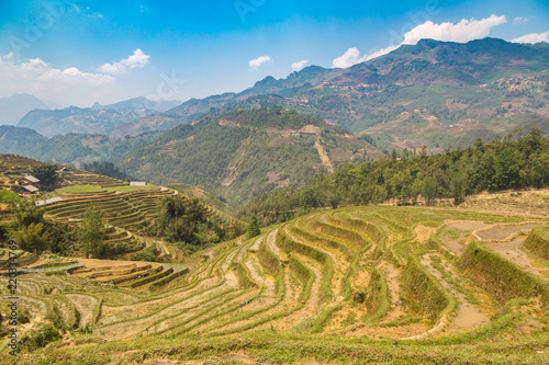 Terraced rice field in Sapa