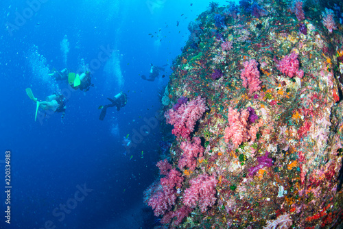 Fototapeta Naklejka Na Ścianę i Meble -  Wonderful and beautiful underwater world with ccoral reef landscape background in the deep blue ocean with colorful fish and marine life