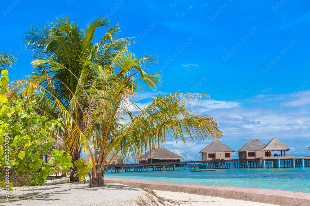Fototapeta premium Tropical beach in the Maldives