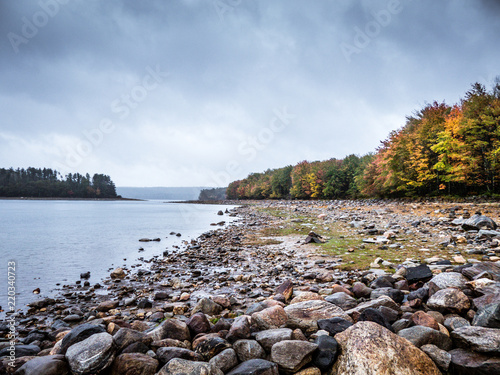 rocky shore with quabbin reservoir and fall leaves in background taken from hank's meadow photo
