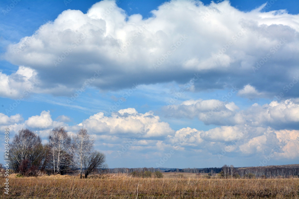 Obraz premium siberian spring