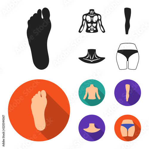 Torso, leg, neck and buttocks. Body parts set collection icons in black,flat style vector symbol stock illustration web.