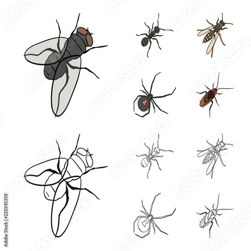An insect arthropod, an osa, a spider, a cockroach. Insects set collection icons in cartoon,outline style vector symbol stock isometric illustration web.
