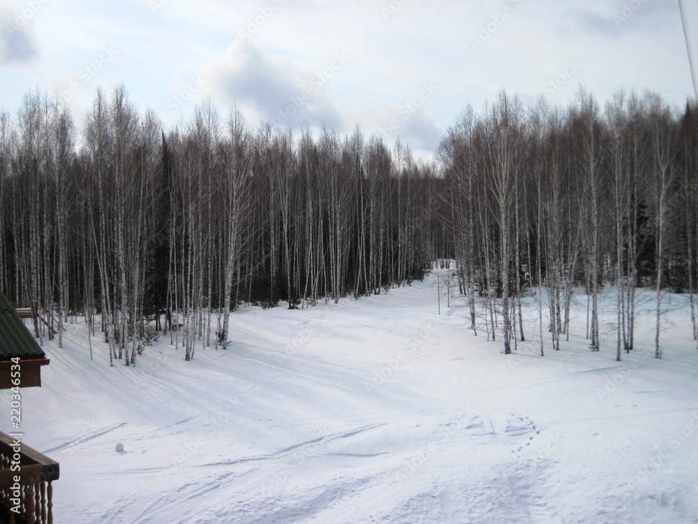 Spring at taiga Spring at taiga