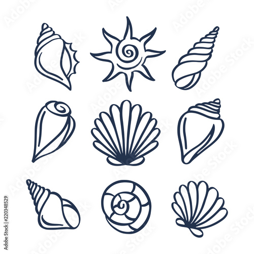 Hand drawn sea shells set. Vector illustration.