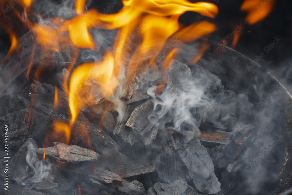 Burning charcoal close-up. Coal in fire and smoke.
Bonfire. Fire wood. Grilling and cooking fire. Woodfire with flames. Burning charcoal close-up. Coal in fire and smoke.
Bonfire. Fire wood. Grilling and cooking fire. Woodfire with flames.