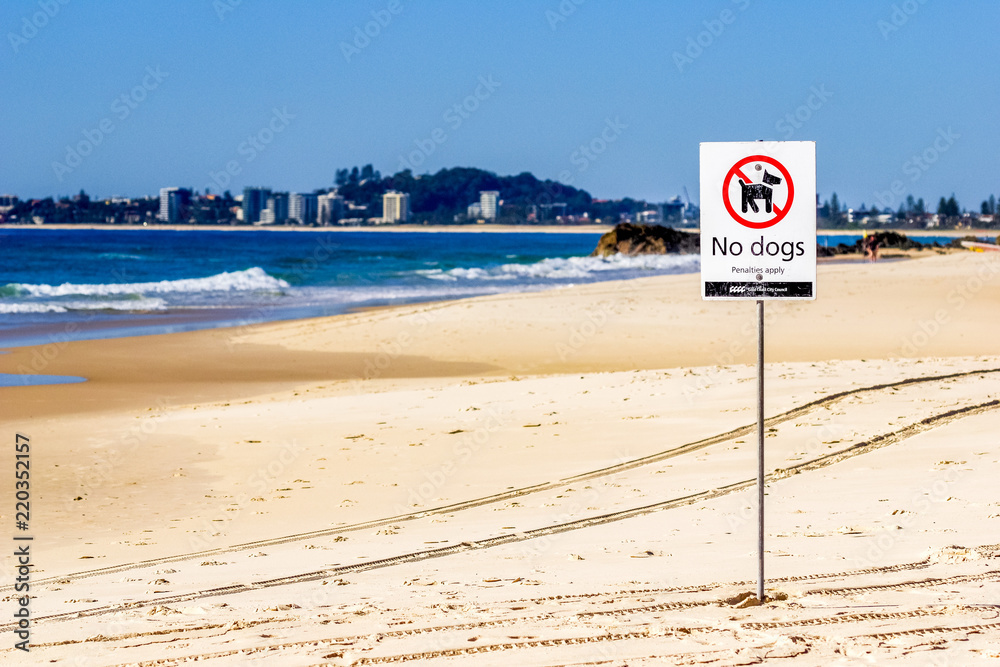 No dogs sign on Currumbin beach on the Gold Coast, Australia